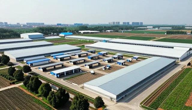 系统集成技术开发中的常见问题及应对策略